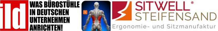 SITWELL® STEIFENSAND AG ➽ Der Musculus latissimus dorsi