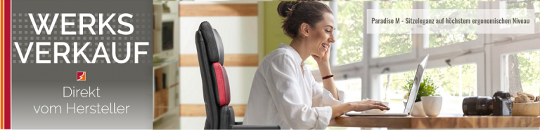 Buerostuhl Dormitz ergonomisch